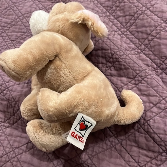 Who can resist this face?! Chihuahua by Webkinz - Picture 5 of 6